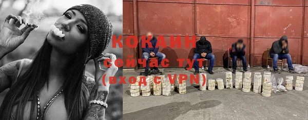 гидропоника Медногорск