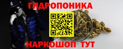 СК Гусь-Хрустальный