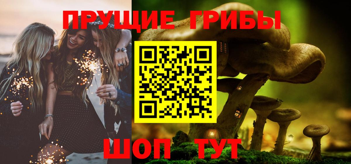 закладки  Галлюциногенные грибы GOLDEN TEACHER  Вход с VPN  Североуральск 