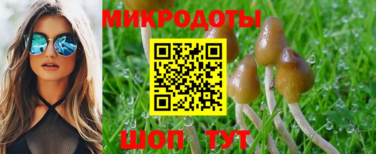 Псилоцибиновые грибы Magic Shrooms  Североуральск  Галлюциногенные грибы Psilocybe 