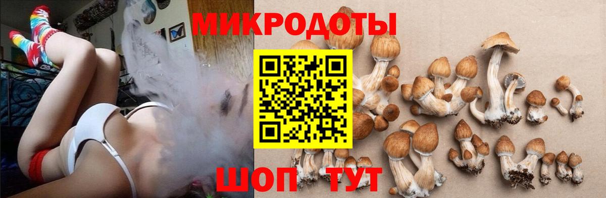 Галлюциногенные грибы MAGIC MUSHROOMS Североуральск